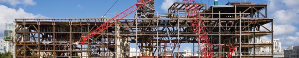 Crane Assembly & Disassembly Director